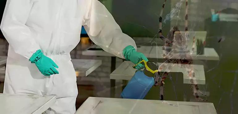 Why Buyers Still Want Homes With Pest Infestations in San Francisco, CA?