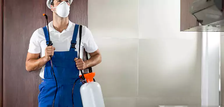 Why San Francisco Homeowners Choose Us When Pests Make Selling Difficult